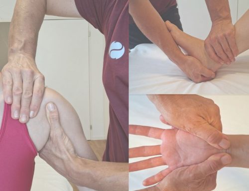 Manual Therapie verstehen – Wie sie Blockaden und Schmerzen an der Ursache löst (Teil 1)